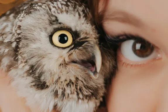 بارادايس كازينو الدعم